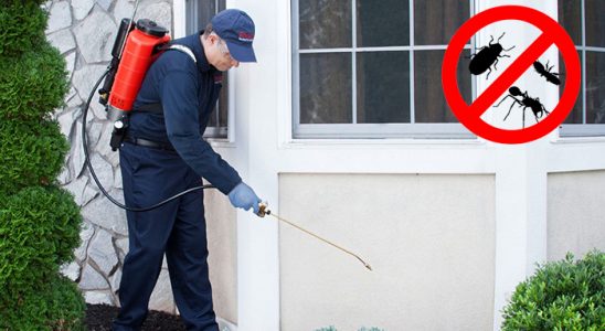 Bağcılar Kemirgen İlaçlama böcek ilaçlama ve haşere kontrolü — ilaclama-tr.com